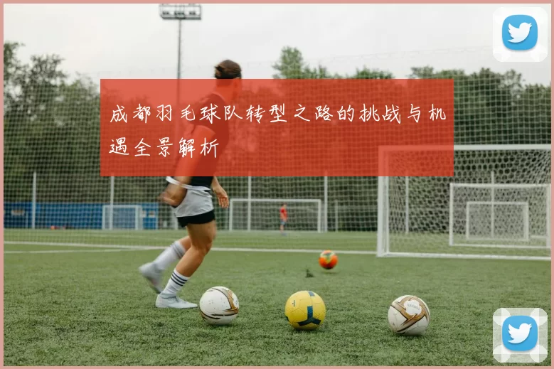 成都羽毛球队转型之路的挑战与机遇全景解析