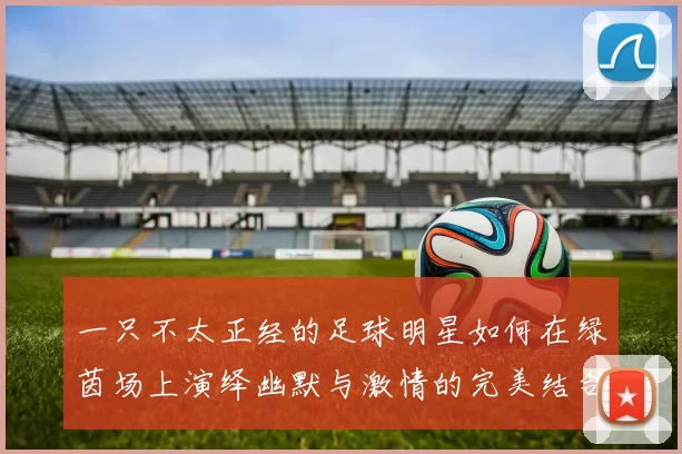 一只不太正经的足球明星如何在绿茵场上演绎幽默与激情的完美结合