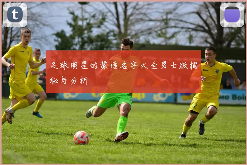 足球明星的蒙语名字大全男士版揭秘与分析