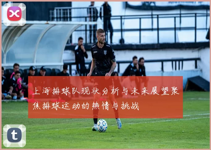 上海排球队现状分析与未来展望聚焦排球运动的热情与挑战