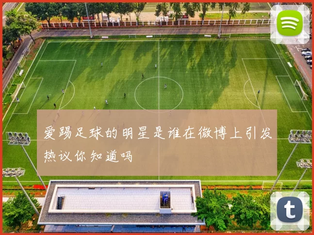 爱踢足球的明星是谁在微博上引发热议你知道吗