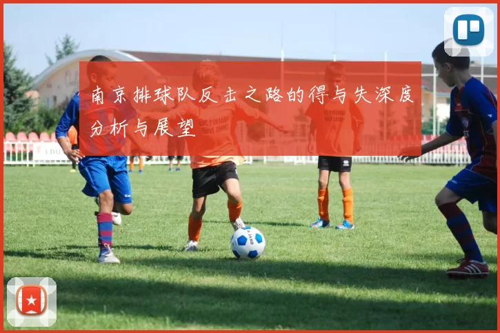 南京排球队反击之路的得与失深度分析与展望