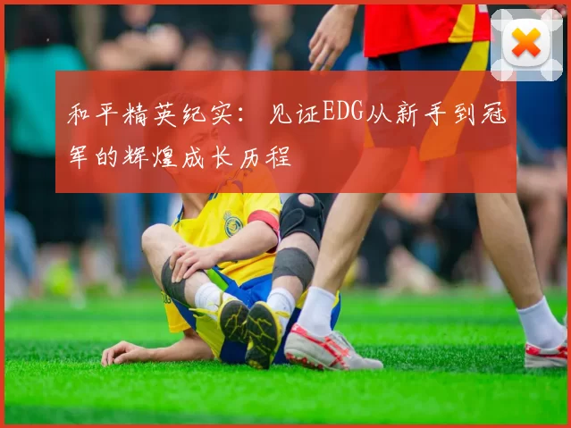 和平精英纪实：见证EDG从新手到冠军的辉煌成长历程