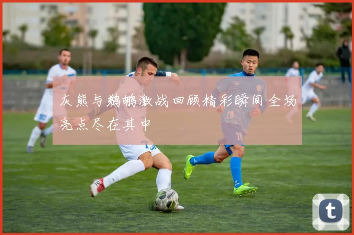 灰熊与鹈鹕激战回顾精彩瞬间全场亮点尽在其中