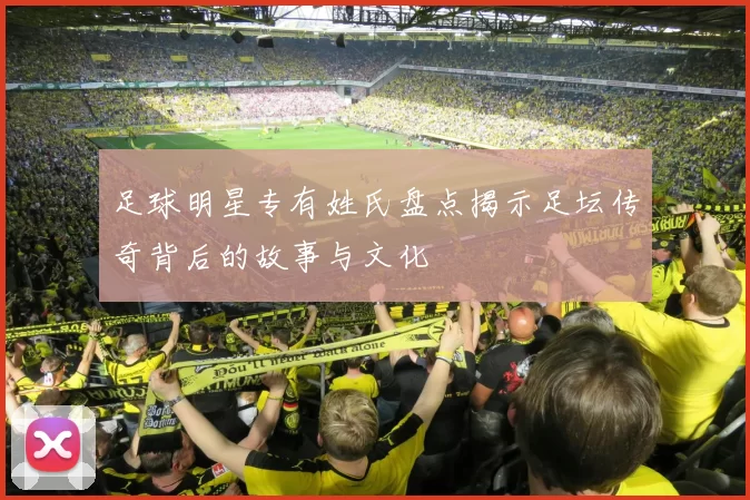 足球明星专有姓氏盘点揭示足坛传奇背后的故事与文化