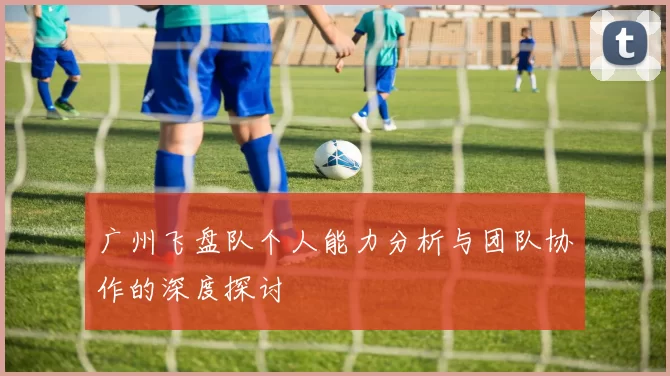 广州飞盘队个人能力分析与团队协作的深度探讨
